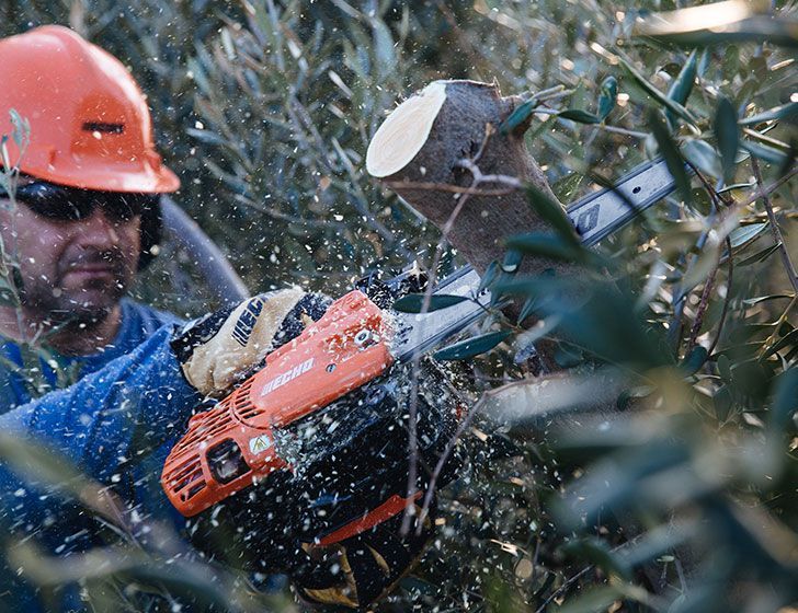 Person using a light weight CS-2511TES Top Handle pruner chainsaw to trim branches in an outdoor setting