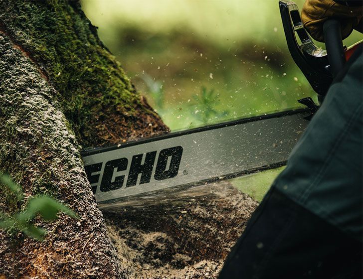 Person using a CS-590 chainsaw to cut through a tree in a forest setting
