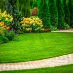 Spring lawn care preparation — Franick Outdoor Power Specialists NZ