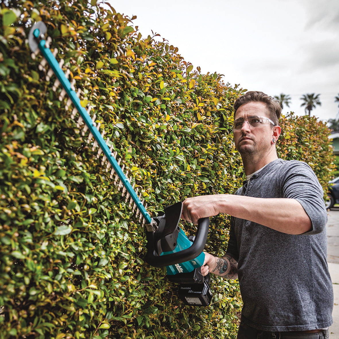 Hedge Trimmer in use