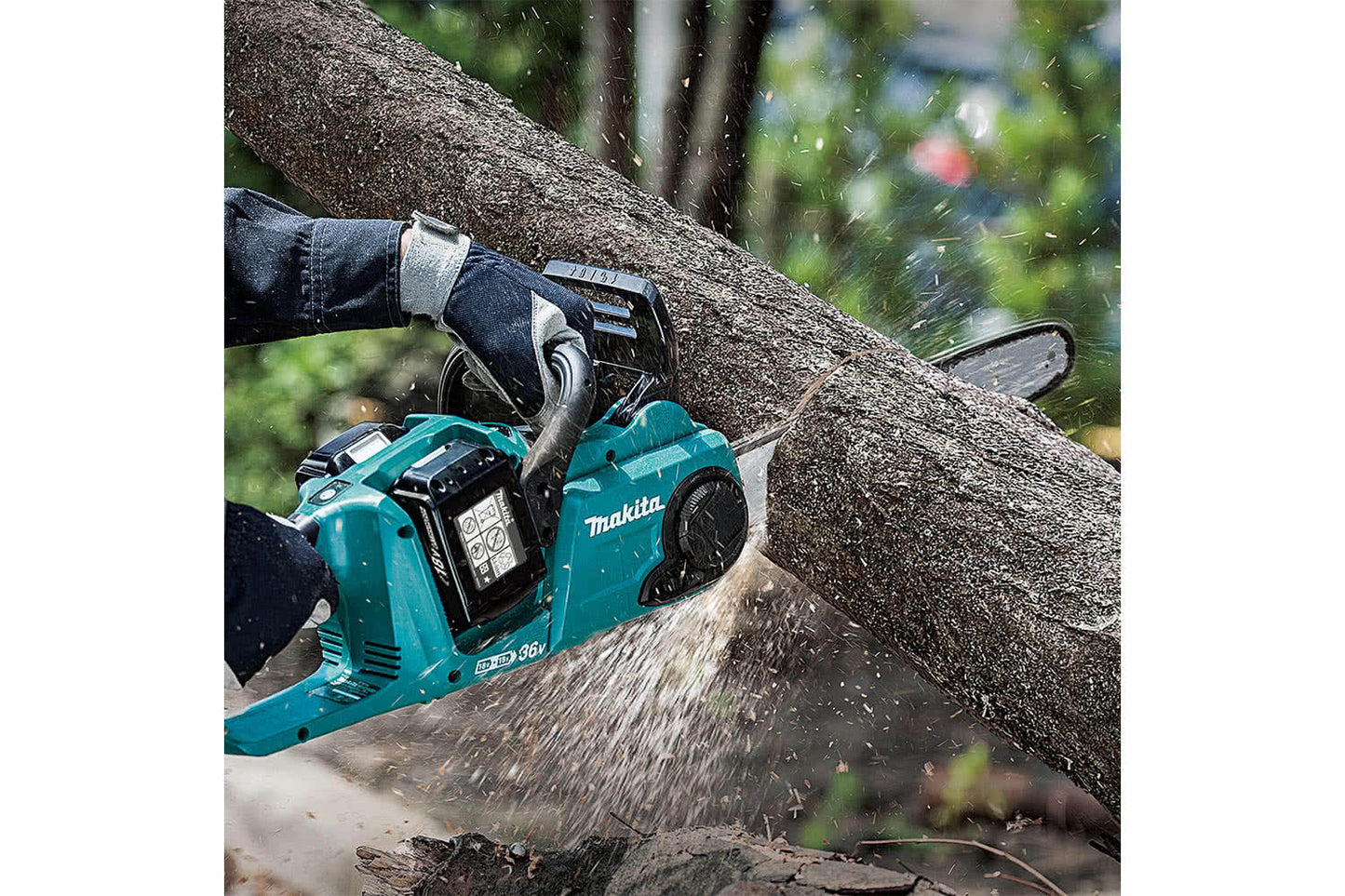Action shot of person wearing gloves and using Makita chainsaw to cut through tree. Chainsaw is using two 18-volt Makita batteries.