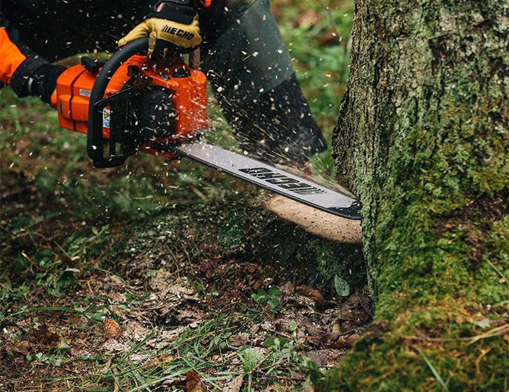 Echo CS-590 Chainsaw in use cutting a tree in a forest setting